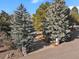 Long driveway leading to a home with landscaping at 6941 Hillridge Pl, Parker, CO 80134