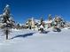 House exterior on a snowy day at 1019 69Th St, Boulder, CO 80303