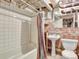 Small basement bathroom with shower, toilet and pedestal sink at 155 N Downing St, Denver, CO 80218