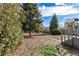 Large backyard with mature trees and a grassy area at 924 Quitman St, Denver, CO 80204