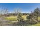 View of a lush green golf course at 7818 Vallagio Ln, Englewood, CO 80112