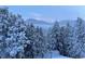 Snow covered trees and mountain view in winter at 8959 Hillview Rd, Morrison, CO 80465