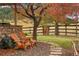 Peaceful backyard with two Adirondack chairs and a stone path at 4517 Tallyrand Cir, Castle Rock, CO 80104