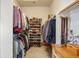 Large walk-in closet with custom shelving and plenty of hanging space at 4517 Tallyrand Cir, Castle Rock, CO 80104