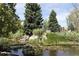 Community pond with lush landscaping and lily pads, creating a tranquil atmosphere at 13890 E Marina Dr # 612, Aurora, CO 80014