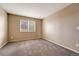 Simple bedroom with carpet flooring and a window at 1555 Rosedale St, Castle Rock, CO 80104