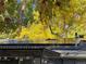 Rooftop solar panel array with fall foliage at 542 E Caley Dr, Centennial, CO 80121