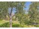 Spacious backyard with large trees and grassy area at 585 S Alton Way # 2C, Denver, CO 80247