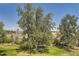 Landscaped backyard, featuring a large tree and grassy area at 585 S Alton Way # 2C, Denver, CO 80247