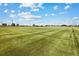 Large grassy athletic field perfect for sports at 2164 Alyssa St, Fort Lupton, CO 80621