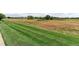 Landscaped lawn with a view of open space at 13722 Legend Way # 101, Broomfield, CO 80023