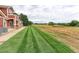 Townhome backyard with green lawn and distant view at 13722 Legend Way # 101, Broomfield, CO 80023