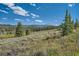 Scenic mountain landscape with evergreen trees and distant peaks at 964 Alpensee Dr, Breckenridge, CO 80424