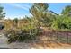 Home's front yard has mature trees and shrubs at 8465 Wheatgrass Cir, Parker, CO 80134