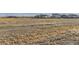 Open space view of community and neighboring houses at 6645 Dry Fork Dr, Frederick, CO 80516