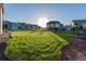 Large grassy backyard with mature trees and landscaping at 15881 Willow Way, Thornton, CO 80602