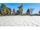 Large backyard, snow covered, with house view at 6101 S University Blvd, Centennial, CO 80121