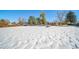 Snow covered backyard with view of house at 6101 S University Blvd, Centennial, CO 80121
