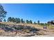Vast empty lot with mountain views and trees at 8830 Witez Ct, Parker, CO 80134