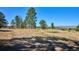 Empty lot with mountain views and distant homes at 8830 Witez Ct, Parker, CO 80134