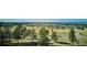Homesites with mountain views and wooded areas at 8830 Witez Ct, Parker, CO 80134