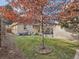 Landscaped backyard with mature tree and detached garage at 1056 S Harrison St, Denver, CO 80209