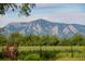 Image 4 of 40: 8932 Mountain View Ln, Boulder