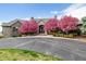 Stunning two-story house with stone accents and flowering trees at 9983 Heather Dr, Castle Rock, CO 80108
