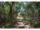Wooded walking path through trees at 3823 Castle Butte, Castle Rock, CO 80109