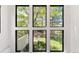 Six-pane window showcasing a lush green backyard view at 3823 Castle Butte, Castle Rock, CO 80109