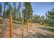 Wooded dog run with agility equipment and a doghouse at 8641 S Warhawk Rd, Conifer, CO 80433