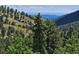 Aerial view of a log home nestled in a wooded mountain setting at 6474 Lone Eagle Rd, Golden, CO 80403