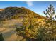 Scenic mountainside view with lush greenery and sunny slopes at 7 Canyon Pines Dr, Arvada, CO 80403