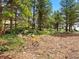 View of a wooded lot with rocky ground and sparse vegetation at 7 Canyon Pines Dr, Arvada, CO 80403