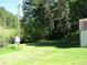 Open grassy area with trees at 7948 S Turkey Creek Rd, Morrison, CO 80465