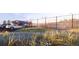 Tennis courts with parking and landscaping at 1871 Grayside Cir, Castle Rock, CO 80109