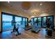 Fitness center with modern equipment and access to outdoor pool and patio at 8812 Whiteclover St, Littleton, CO 80125