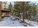 Home's backyard with snowy ground and wooded area at 746 Bow Mountain Rd, Boulder, CO 80304