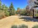 Multi-purpose outdoor court with basketball hoop and hockey net at 9022 Jason Ct, Boulder, CO 80303