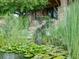 Serene water feature with lush landscaping and natural stone at 24503 Chris Dr, Evergreen, CO 80439