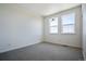 Empty bedroom with gray carpet and large windows offering ample natural light at 6940 Merseyside Ln, Castle Pines, CO 80108