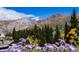 Scenic mountain view with wildflowers in the foreground at 2121 Hummingbird Way # 102, Georgetown, CO 80444