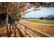 Landscaped backyard with a white fence and fall foliage, overlooking a golf course at 4340 Nelson Dr, Broomfield, CO 80023