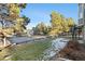 Landscaped backyard with partial view of neighboring houses at 6 Yellow Flax, Littleton, CO 80127