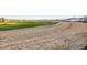 Homesites overlooking the golf course and lake at 3010 Newfound Lake Rd, Berthoud, CO 80513