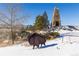 Community entrance with metal bison sculpture and stone structure, winter scene at 4640 Belford Cir, Broomfield, CO 80023