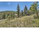 Landscaped backyard with a view of the surrounding mountains and trees at 10251 Blue Sky Trl, Conifer, CO 80433