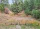 Wooded backyard with playset and firepit area at 5200 Parmalee Gulch Rd, Indian Hills, CO 80454