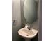 Small bathroom with pedestal sink and oval mirror at 5756 S Truckee Ct, Centennial, CO 80015