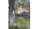 Small, grassy backyard area with mature trees at 2565 S Sheridan Blvd # 20, Denver, CO 80227
